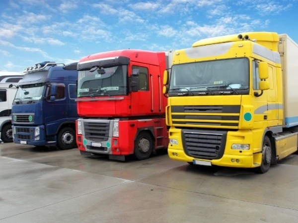 Bursa Söğüt Nakliye